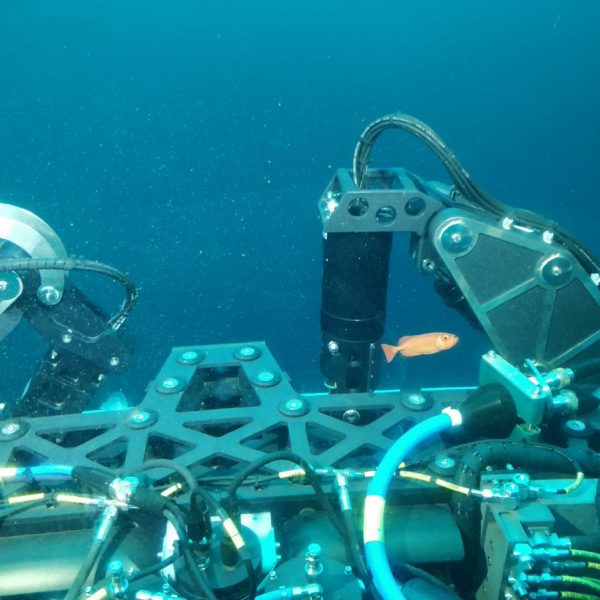 Finally, Indian Navy Activates Deep Submarine Rescue Capability