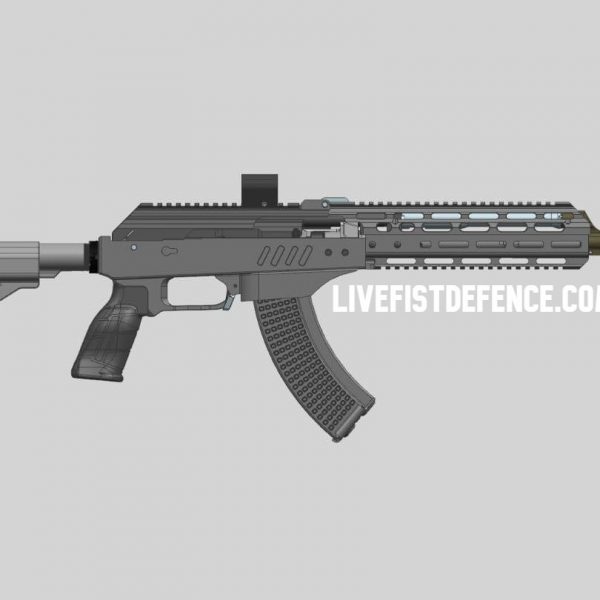 FIRST LOOK: Indian Private Sector Answer To Kalashnikov Rifle Out Soon